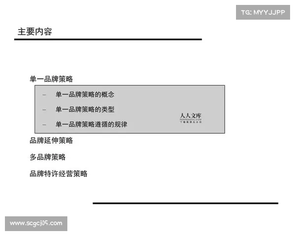 52奶茶引领时尚潮流变革探索背后的品牌成功与市场策略 52奶茶引领时尚潮流变革探索背后的品牌成功与市场策略