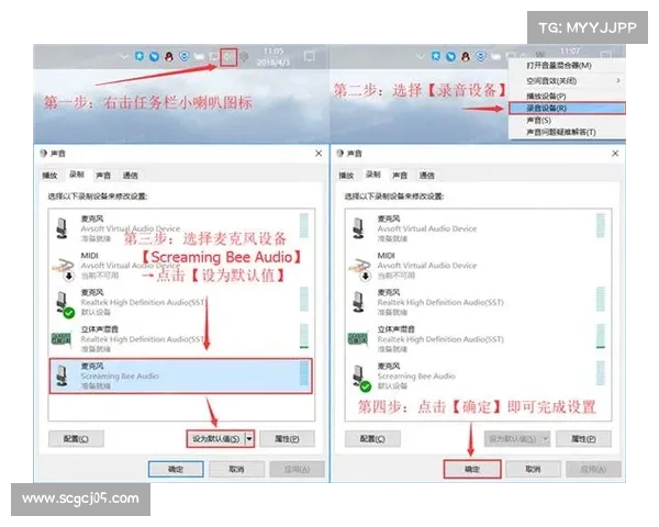 MorphVox Pro使用技巧与功能深度解析及实用优化指南 MorphVox Pro使用技巧与功能深度解析及实用优化指南