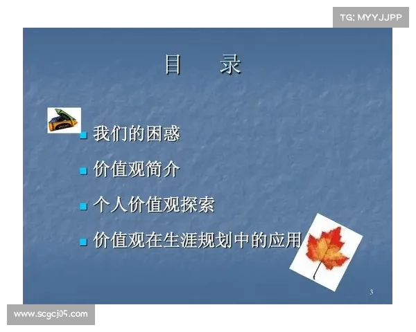 安联赞助商带来的多重优势与价值探索解析