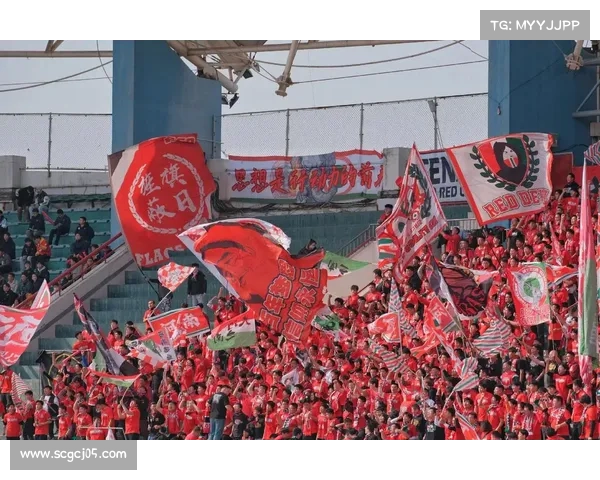 揭秘建业足球俱乐部全新运营模式及其对中国足球未来的影响