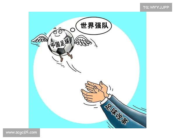 深入探讨加的夫城现所参与的足球联赛归属及其发展背景解析全面篇