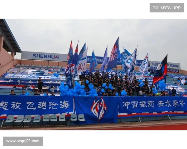 大连英博能否实现反弹 上海申花的经验为其提供了哪些启示